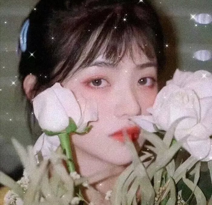 饿虎狂龙